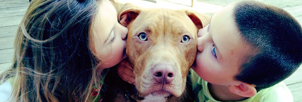 close up of two people kissing an adult dog