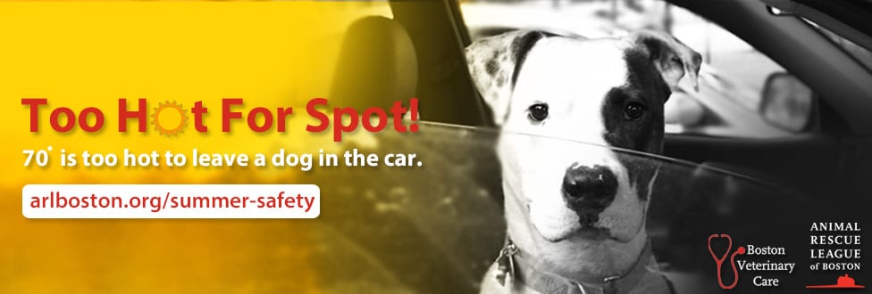 Too hot for spot graphic