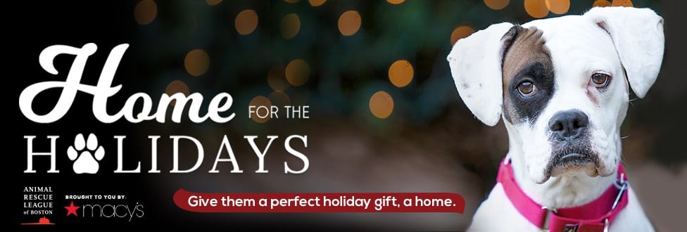 Home for the Holidays dog graphic
