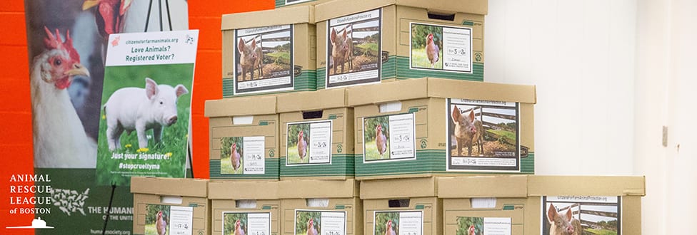 citizens for farm animal protection boxes stacked ontop of each other