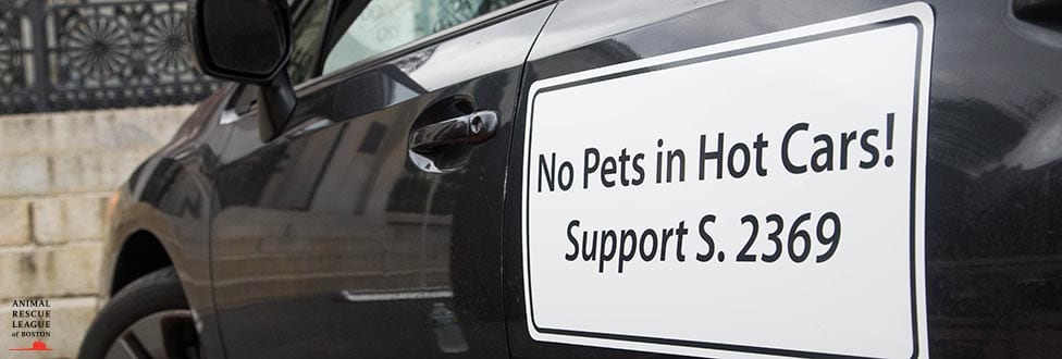 Car with No Pets in Hot Cars magnet