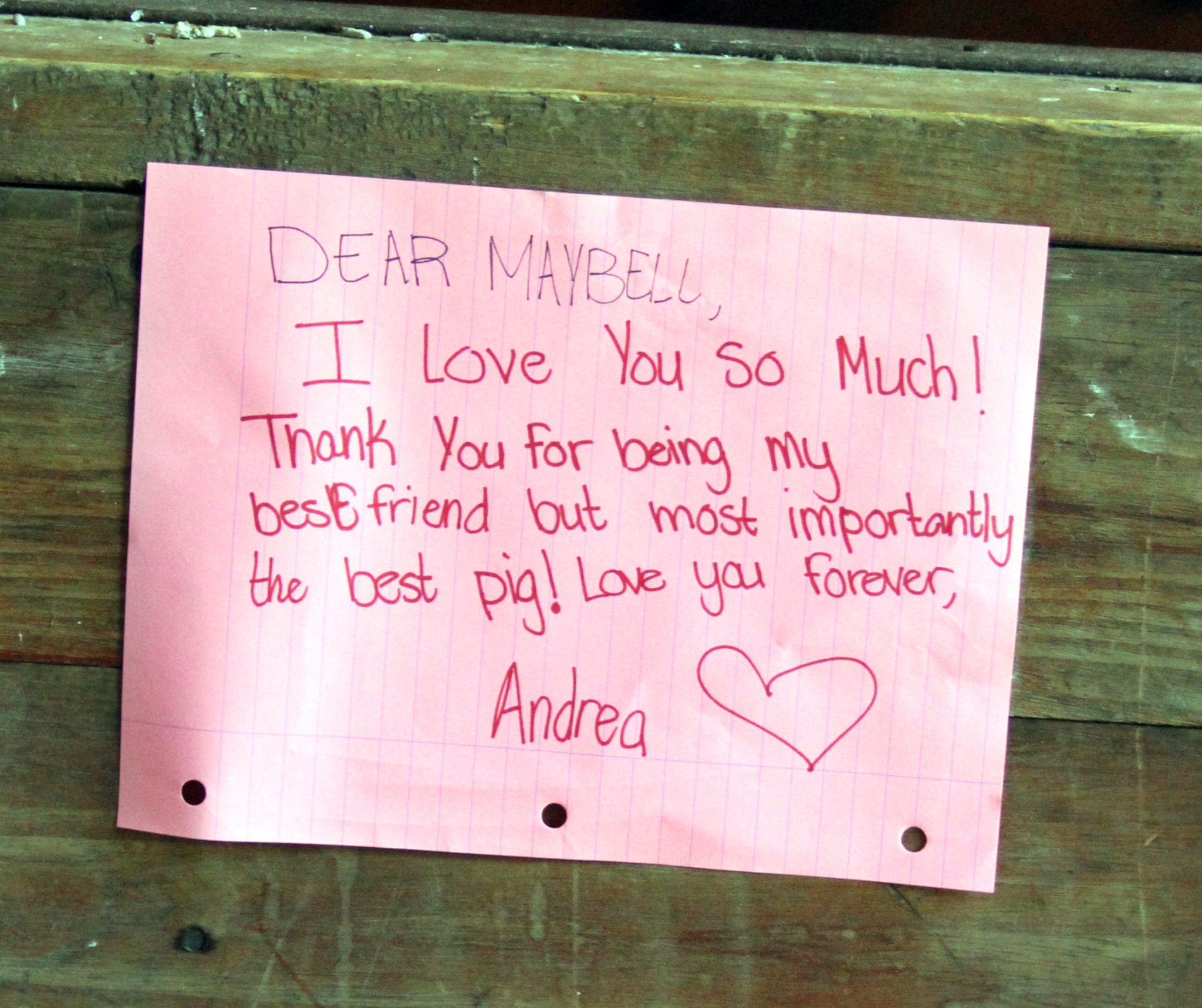 Andrea Maybelle Note