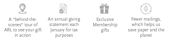 Champions Circle Membership Perks