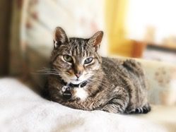 Brother laying down