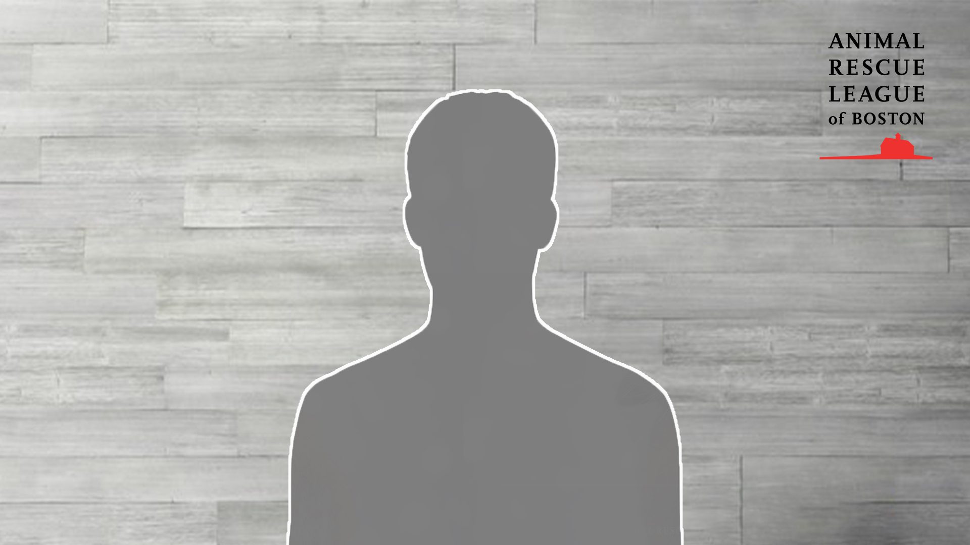 Gray wood wall with ARL logo