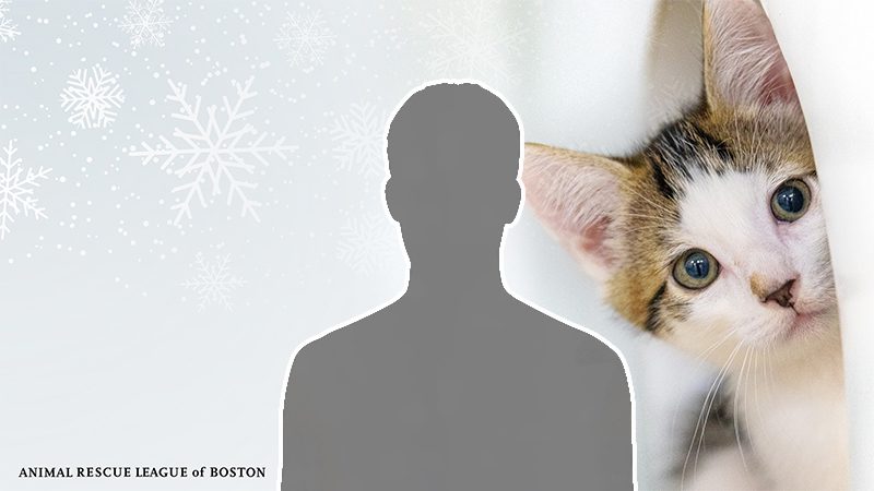 winter puppy background