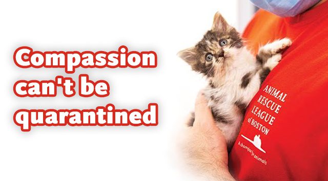 CCBQ2-VideoThumb Compassion Can't be quarantined video