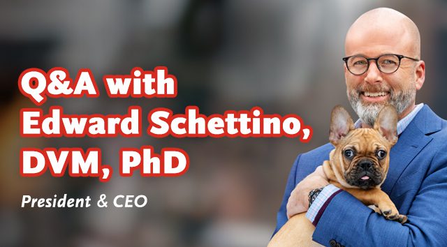 QandA-Schettino-VideoThumb Q and A with Dr. Edward Schettino