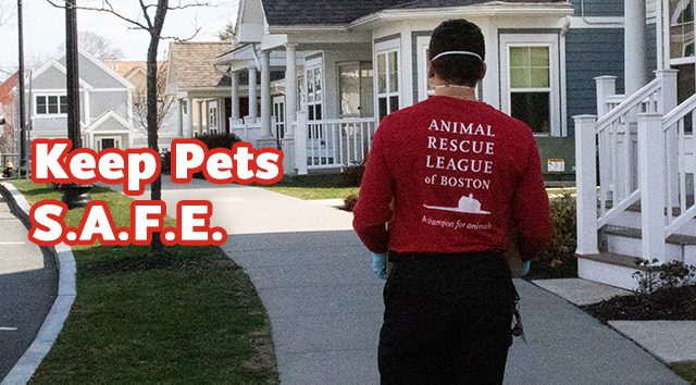 SAFE-VideoThumb Keep Pets S.A.F.E.