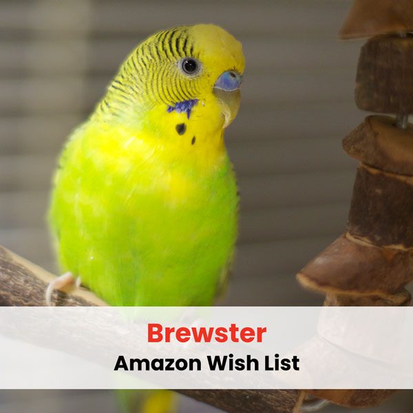 Brewster Amazon wish list graphic