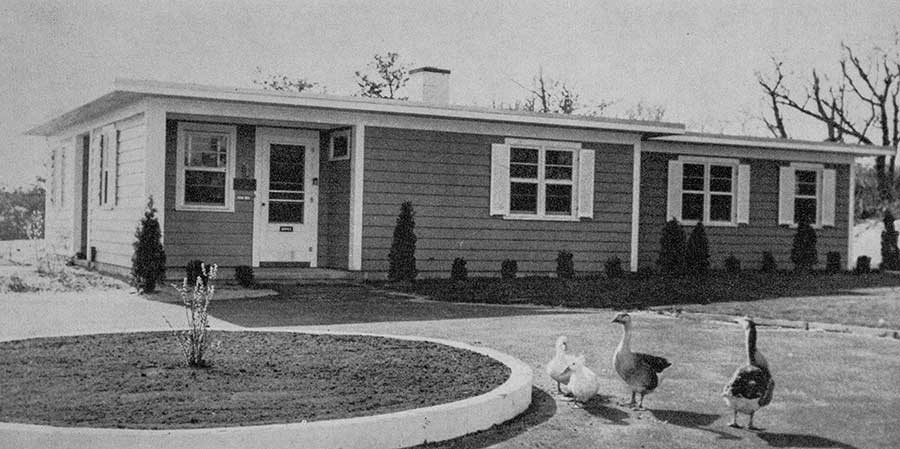 Provincetown Shelter