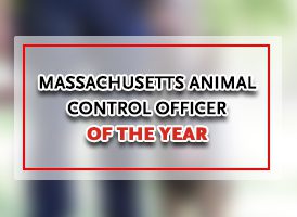 Massachusetts Animal Control Officer of the Year graphic