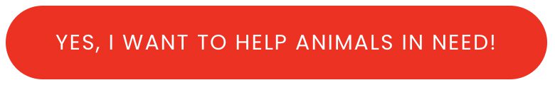Yes I want to help animals in need