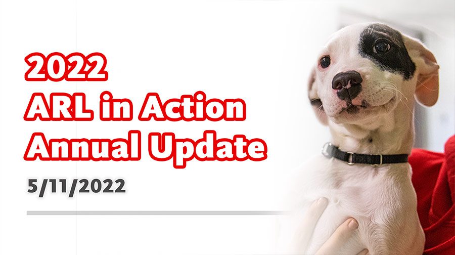 2022-annual-update-thumbnail Annual Update thumbnail featuring ARL puppy