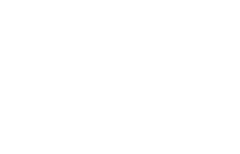 Boston Veterinary Care logo