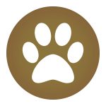 bronze paw print