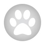 Silver paw print
