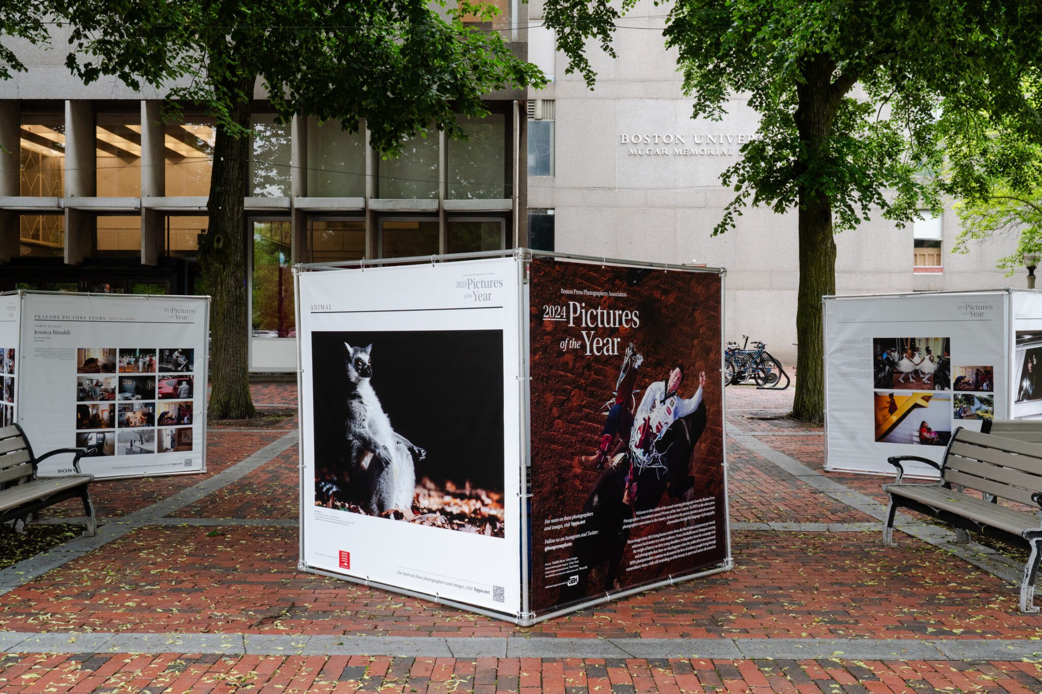 Large printed photo exhibits outside