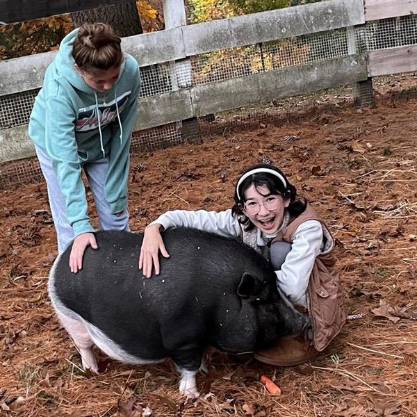 youth-with-pig youth with pig