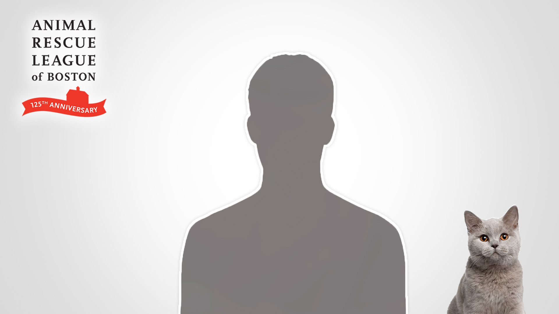 Small gray kitten in lower right corner with ARL 125 logo in left corner