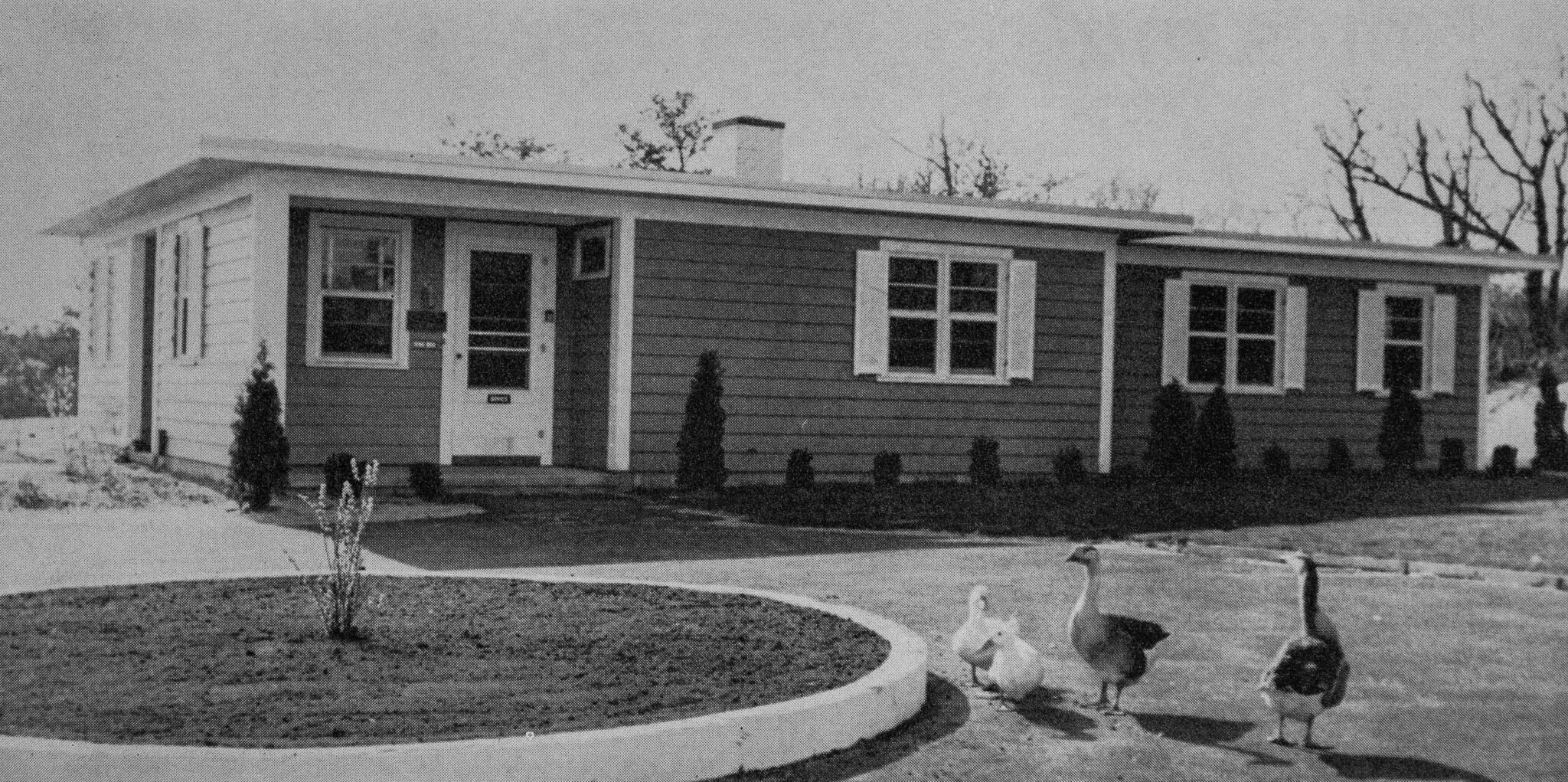 Provincetown shelter