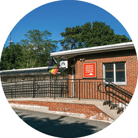 Brewster Animal Care & Adoption Center