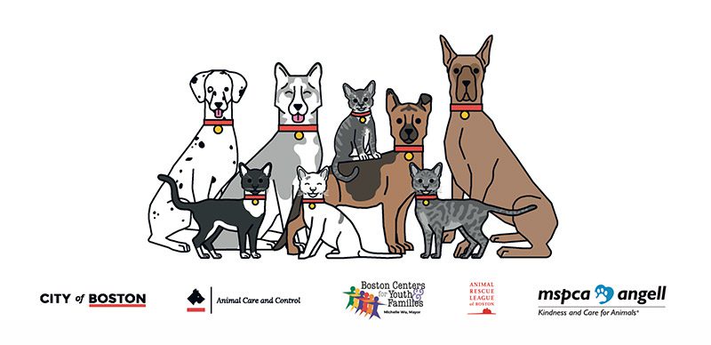 cartoon photo of dogs and cats sitting next to each other.