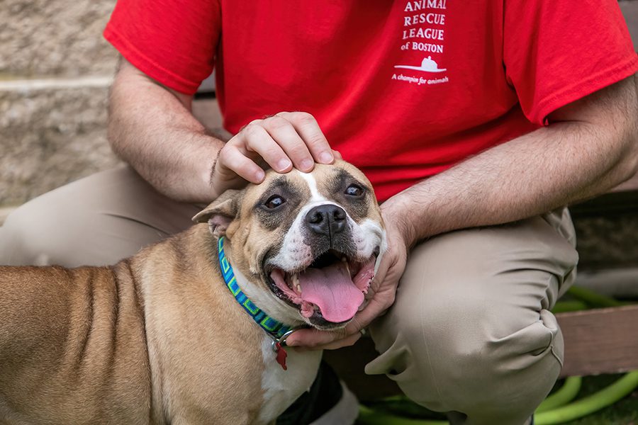 ARL staff member petting dog