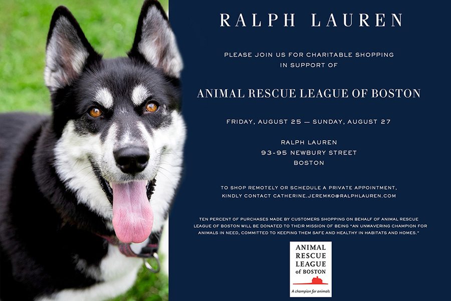 golf-fundraiser-website 2 A husky dog photo in a graphic