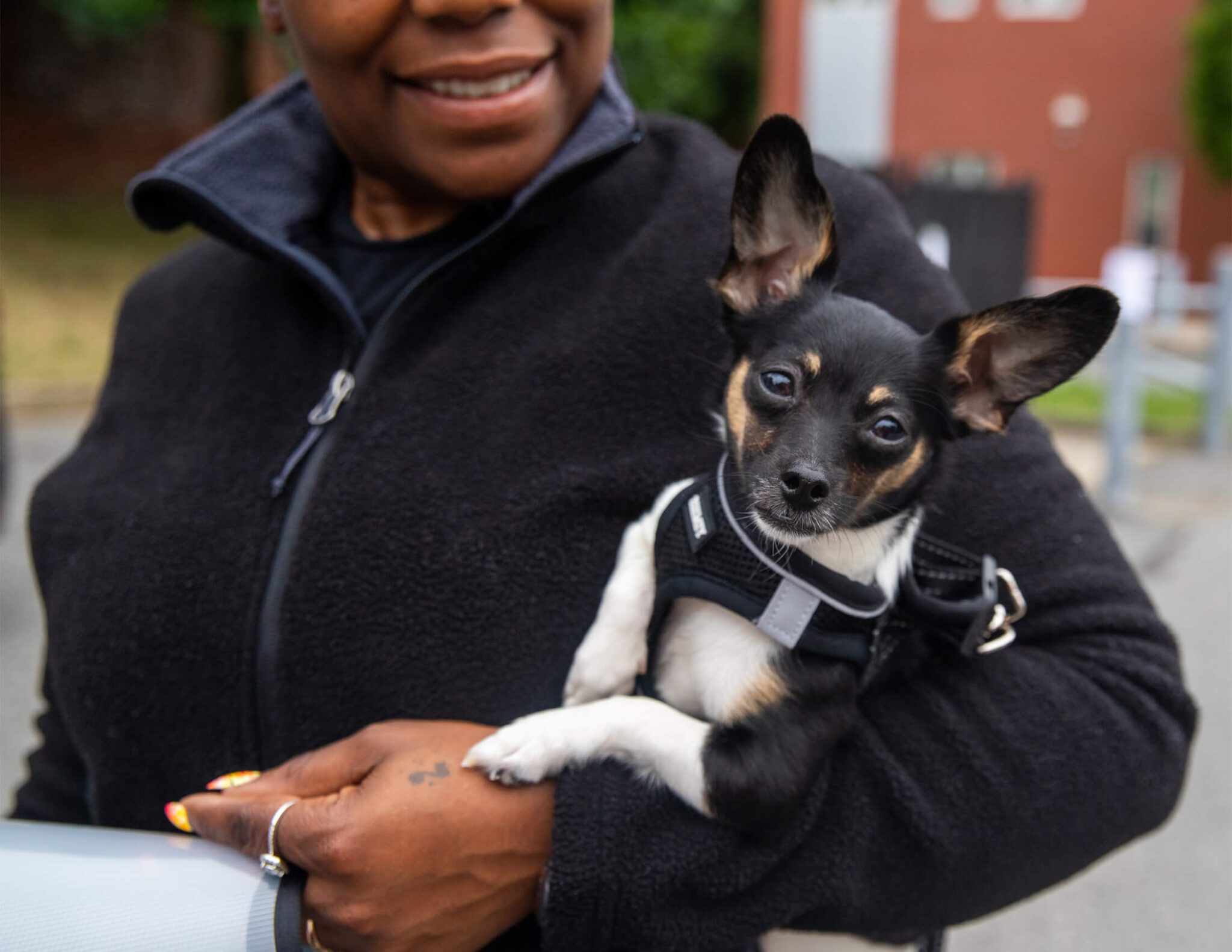Dog-in-Womens-Hand A person smiling, holding a small black and white dog