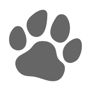 icon of a paw print 