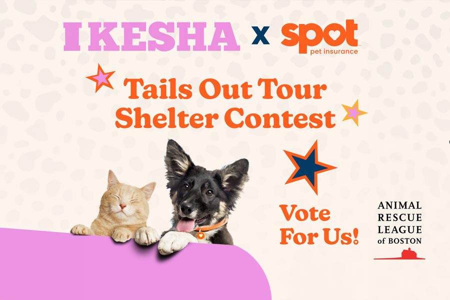 Kesha Tails Out contest graphic featuring a cat and dog