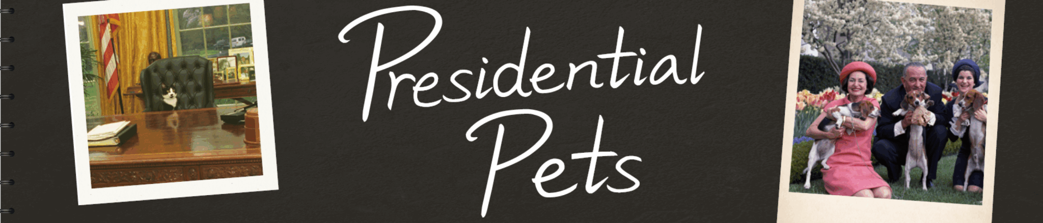 Presidential pets graphic showing photos of pets "in office"