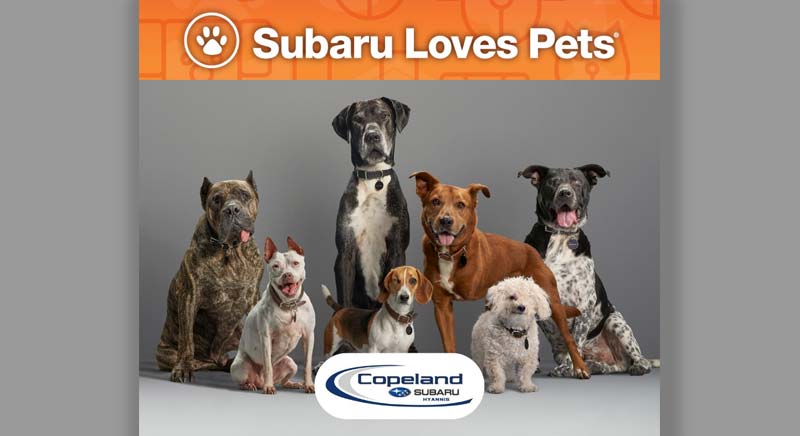 A group of dogs sitting. The text "Subaru Loves Pets" is shown at the top.
