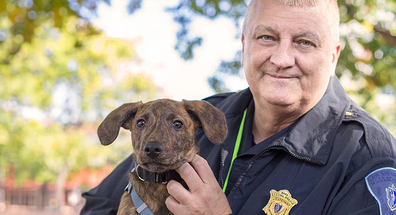 A person in a law enforcement uniform holding a brindle-colored puppy.