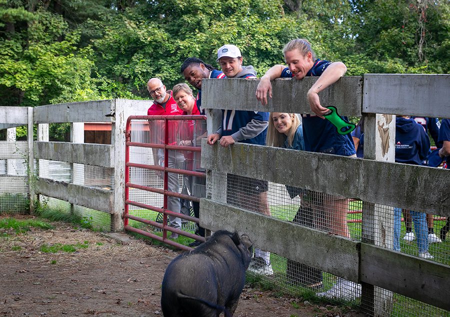 Patriots and team outside against a wooden fencing looking into a paddock containing a pig