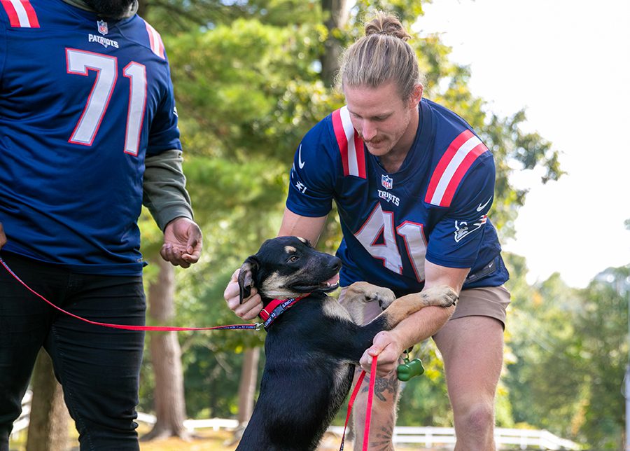 Two Patriots players are playing with a puppy outside