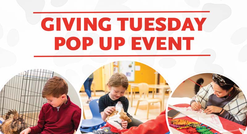 Giving Tuesday Pop Up Event graphic