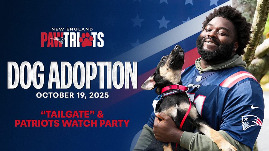 A happy person in a Patriots jersey holds a German Shepherd mix puppy. Text: 'New England Pawtriots Dog Adoption, October 19, 2025, Tailgate & Patriots Watch Party.' Background features a flag motif with stars.