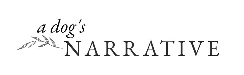 A dog's narrative logo