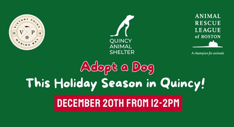 Green flyer graphic promoting dog adoption on December 20th, 12-2 PM. Includes logos of Victory Point, Quincy Animal Shelter, and the Animal Rescue League of Boston.