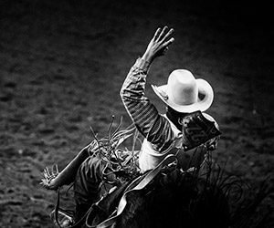 Black and white image of a rodeo rider on a bucking animal.