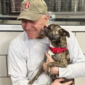 A man in a gray shirt and cap is joyfully holding a brindle dog with a red collar. The dog affectionately licks his face, conveying happiness and warmth.