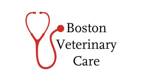 Boston Veterinary Care logo