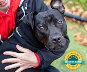 A person in a red hoodie and black jacket hugs a black dog with alert eyes on grass. A badge reads "2026 Top-Rated Nonprofit." Leaves are scattered.