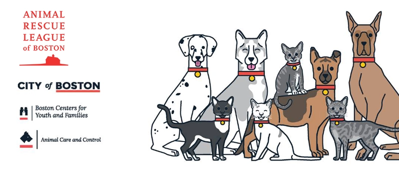 cartoon photo of dogs and cats sitting next to each other.