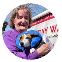 An elderly woman in a purple sweater lovingly holds a small dog wearing a blue protective collar. They stand near ARL's Spay Waggin'.