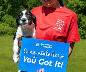 Person in a red ARL t-shirt holding a black and white puppy and a blue sign saying "Congratulations You Got It!" It's a sunny outdoor setting.