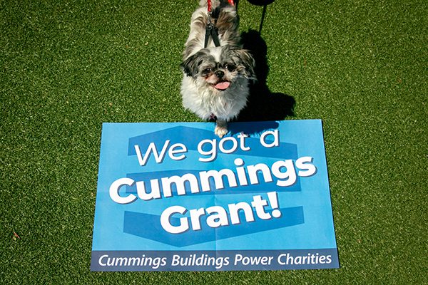 A happy dog stands on grass, next to a blue sign that reads, "We got a Cummings Grant!" The scene conveys excitement and celebration.